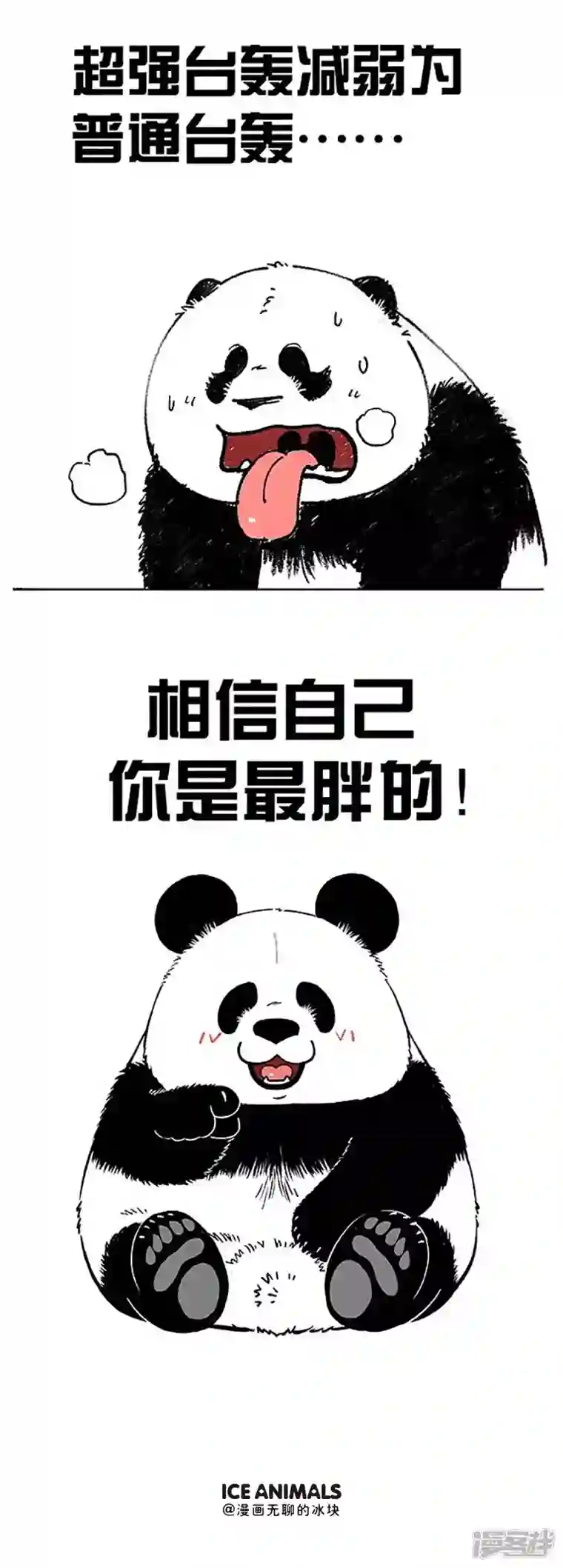 快把动物放进冰箱160不听指挥的马不是什么好水果