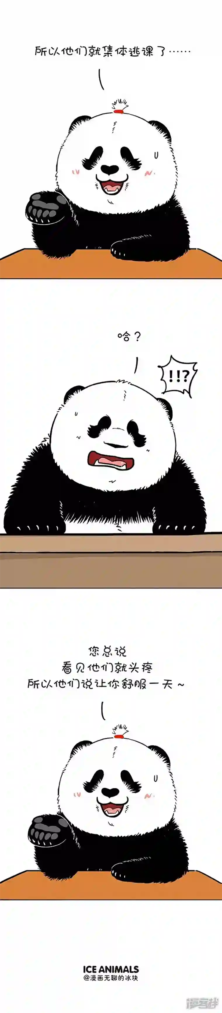 快把动物放进冰箱166老师真正喜欢的礼物是什么？