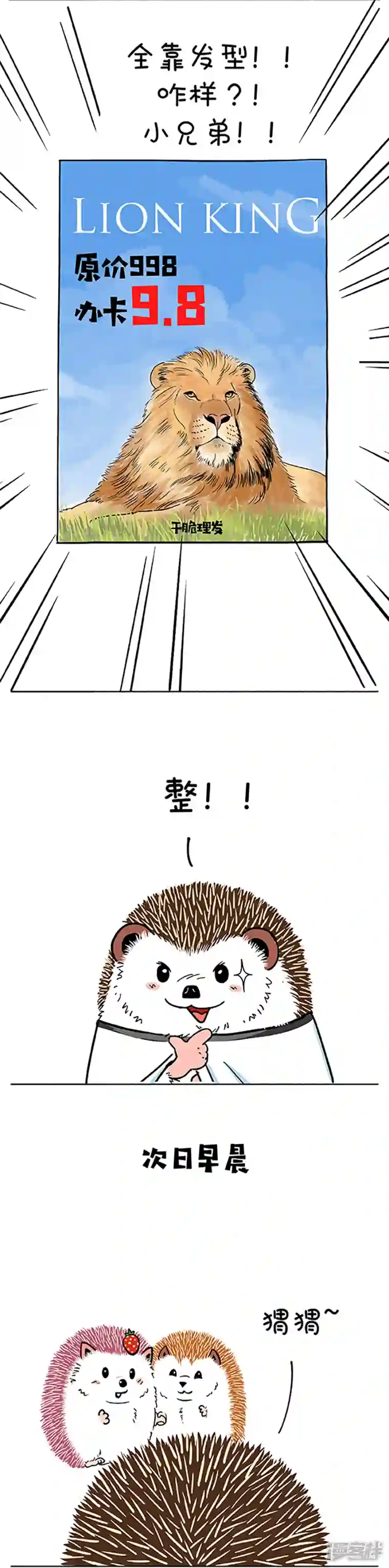 快把动物放进冰箱171明明可以靠脸吃饭