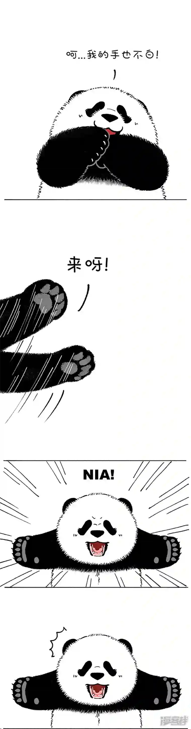 快把动物放进冰箱183对不起！我是熊猫！