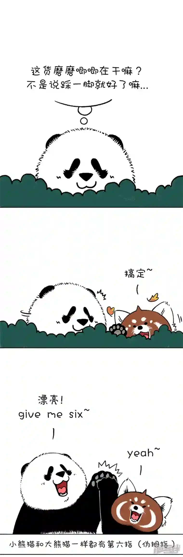 快把动物放进冰箱185今天就让你见识见识哥的手段