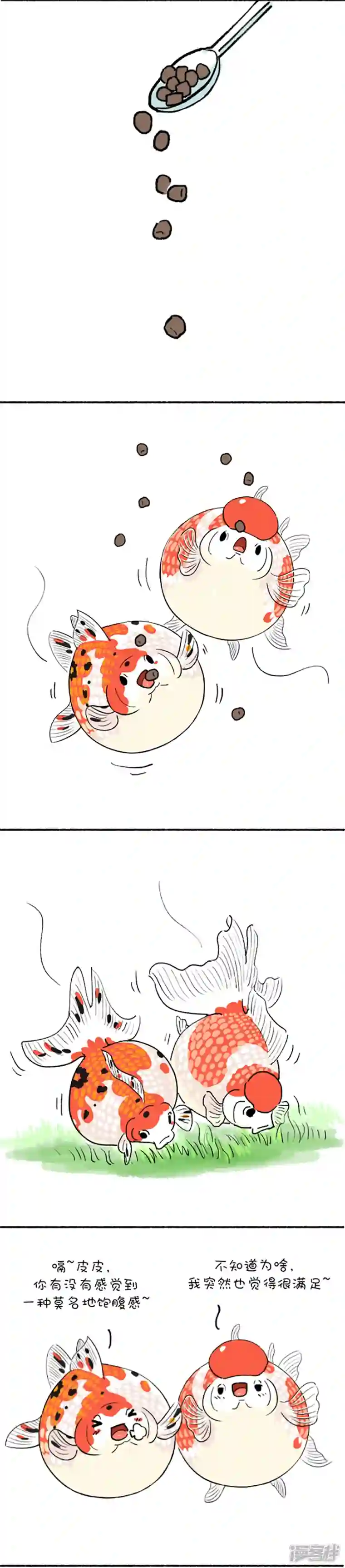 快把动物放进冰箱190 如何判断自己是不是易胖体质