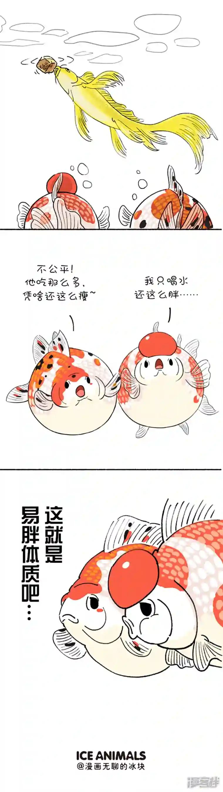 快把动物放进冰箱190 如何判断自己是不是易胖体质