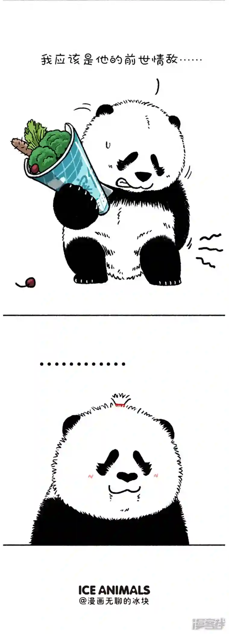 快把动物放进冰箱197愿天下有情人终成家属~