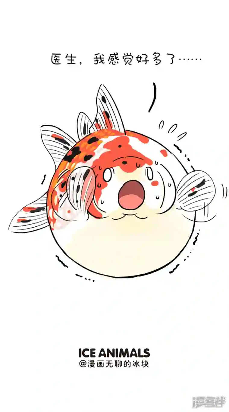 快把动物放进冰箱200没错，我就是你的芳心纵火犯，灵魂治疗思！