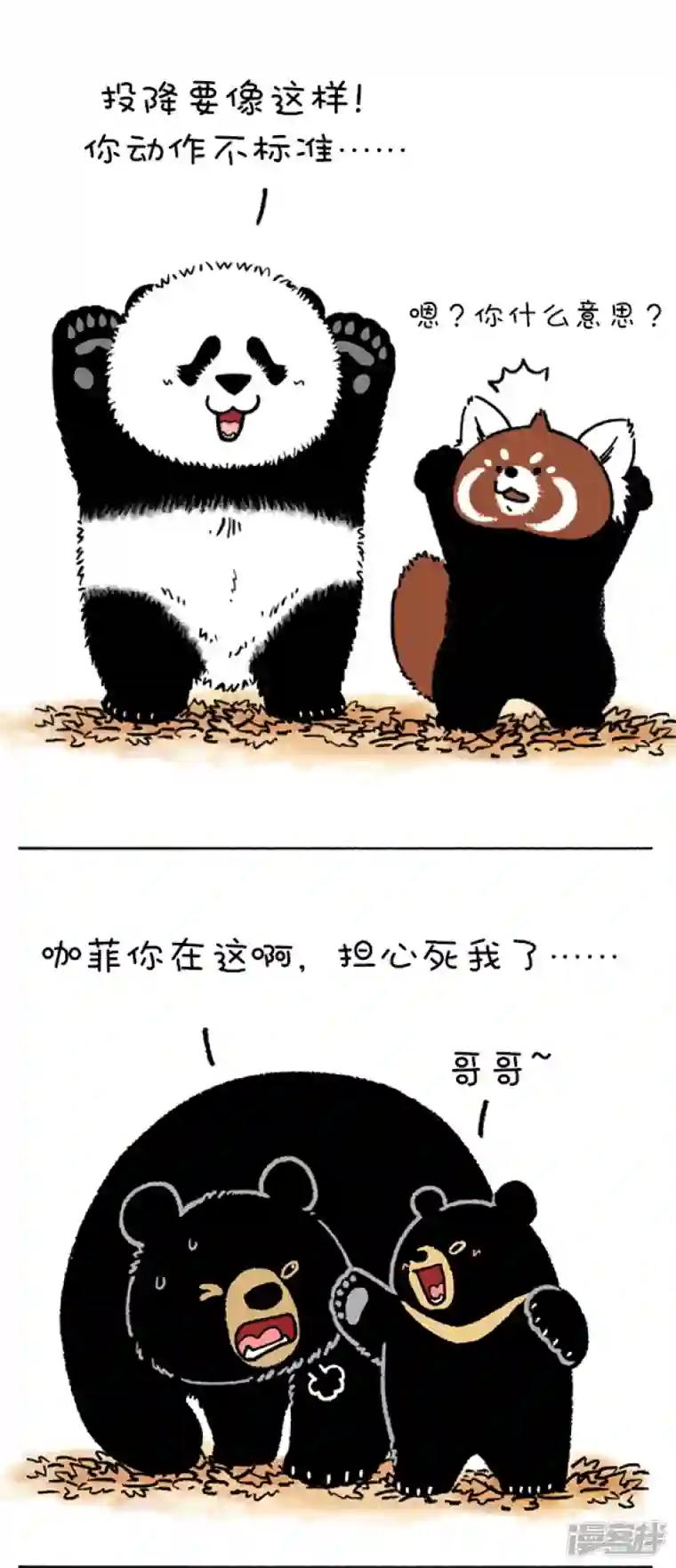 快把动物放进冰箱205熊挪活，树挪死