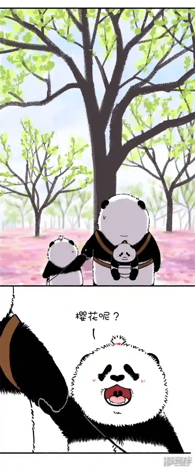 快把动物放进冰箱211没有什么能够阻挡春天的脚步