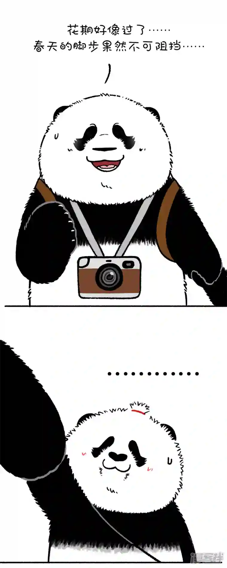 快把动物放进冰箱211没有什么能够阻挡春天的脚步