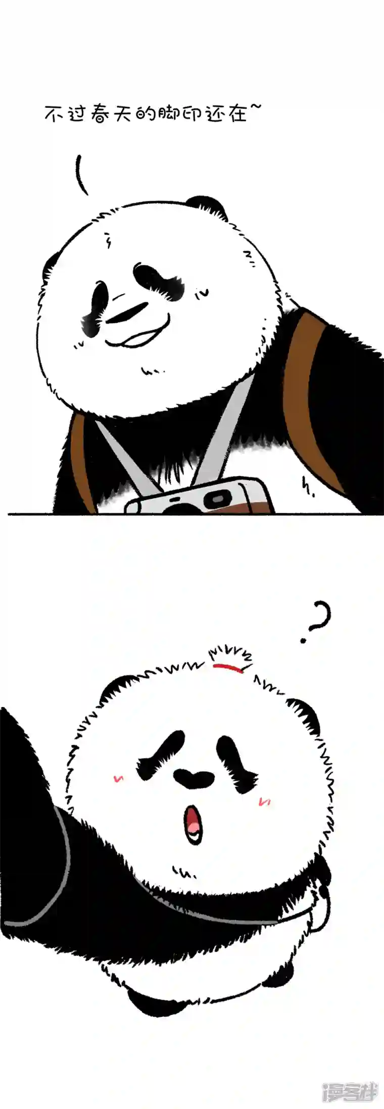 快把动物放进冰箱211没有什么能够阻挡春天的脚步