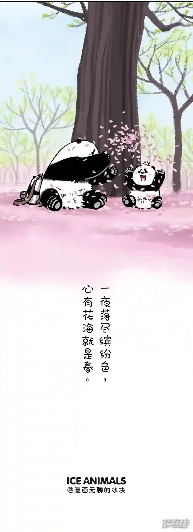 快把动物放进冰箱211没有什么能够阻挡春天的脚步