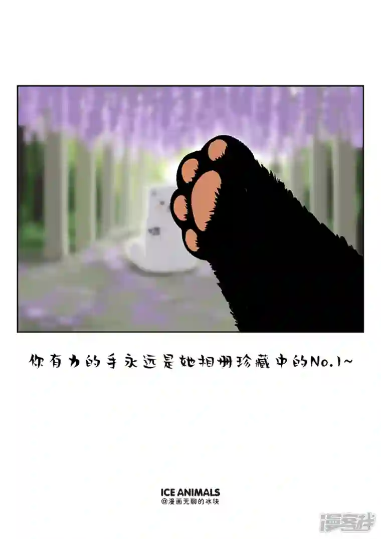 快把动物放进冰箱214男朋友对你用不用心，看他给你拍的照片就知道