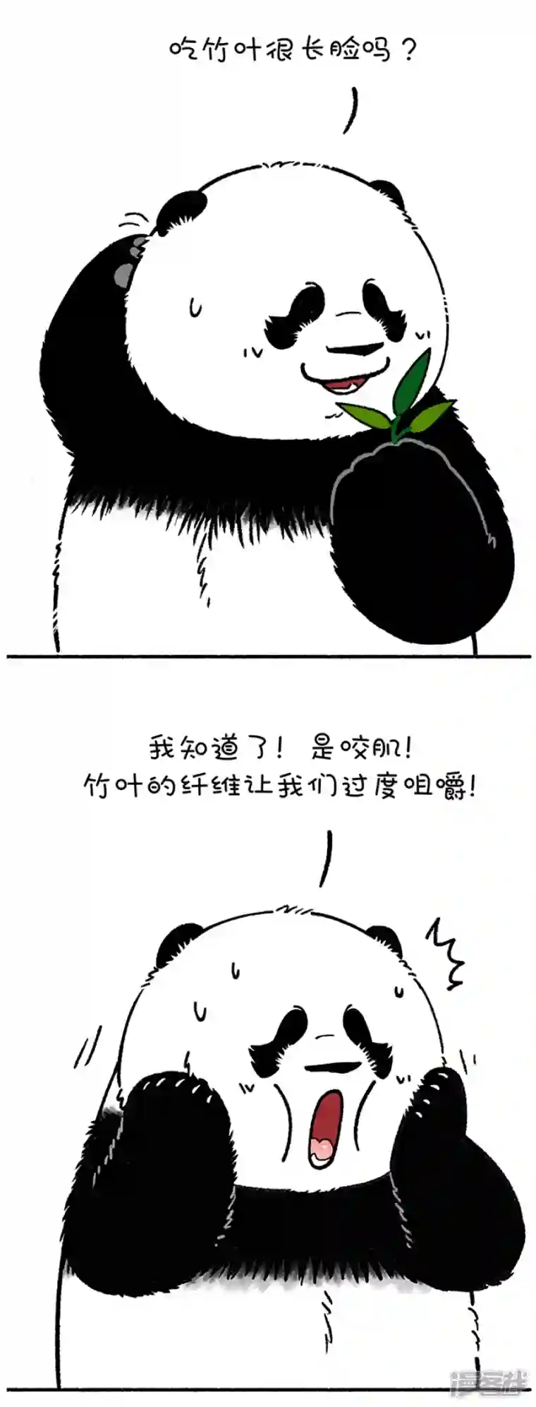 快把动物放进冰箱215一招解决你的脸大问题