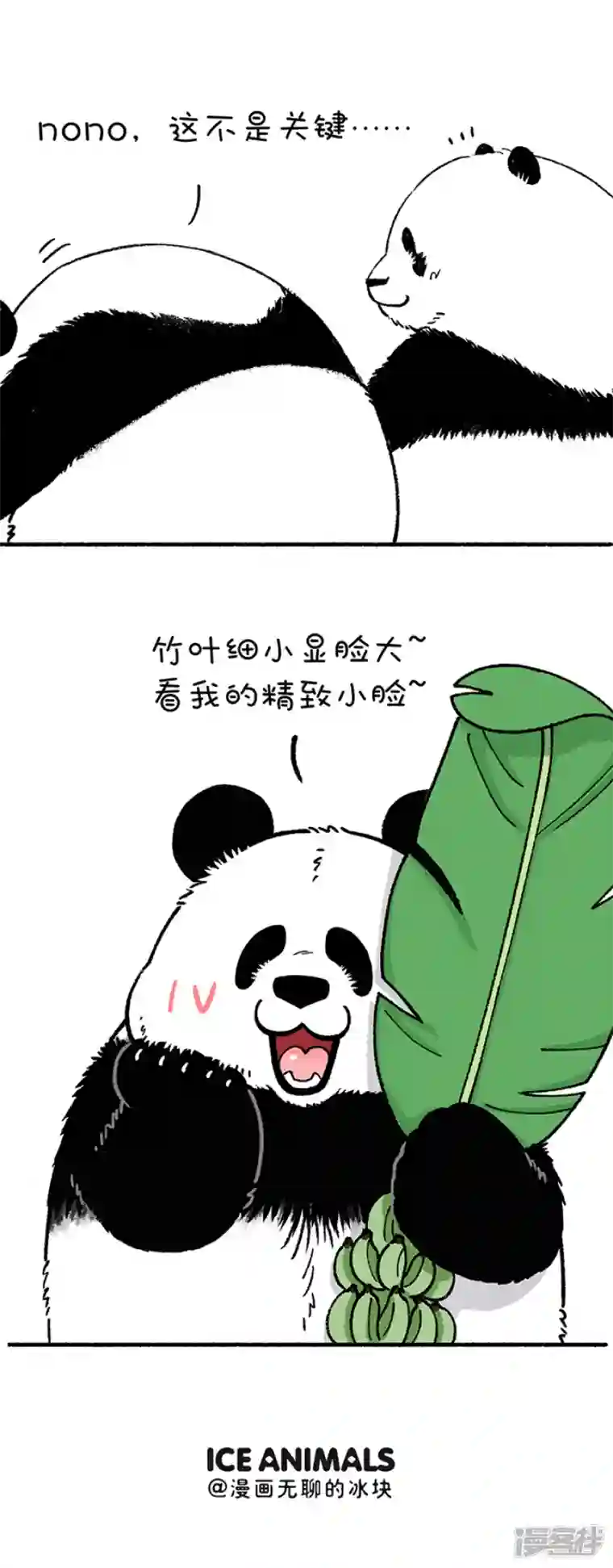 快把动物放进冰箱215一招解决你的脸大问题