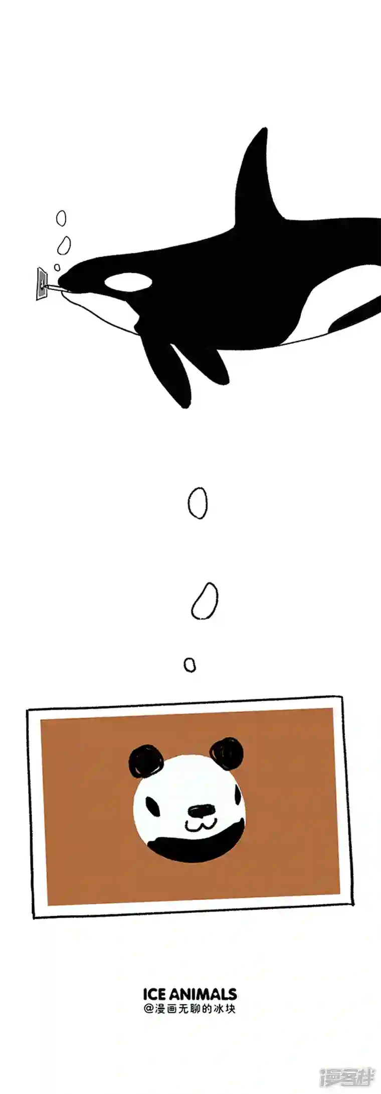 快把动物放进冰箱222前浪别太浪，留点给后浪