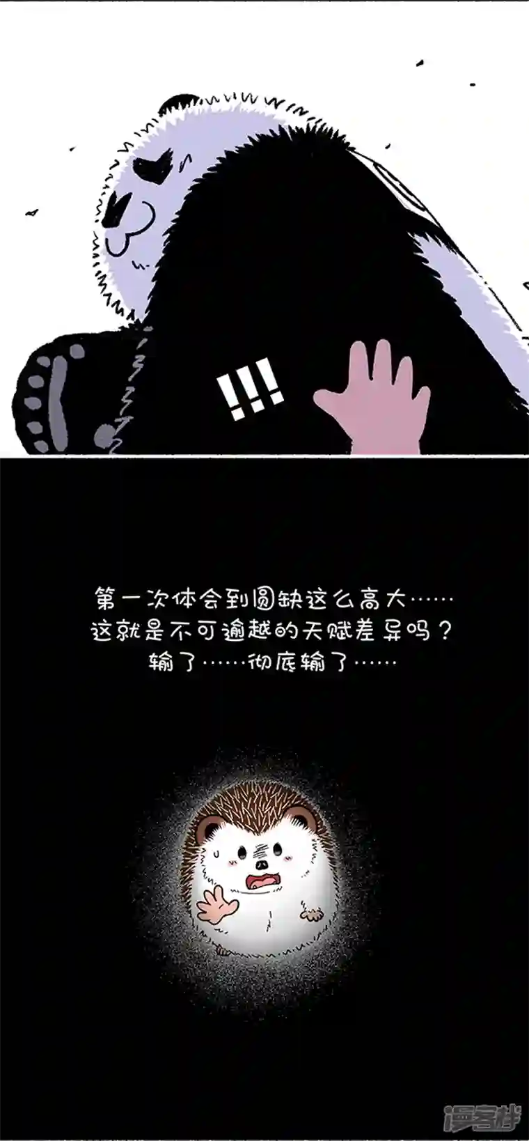 快把动物放进冰箱227你的核心竞争力的核心是什么？