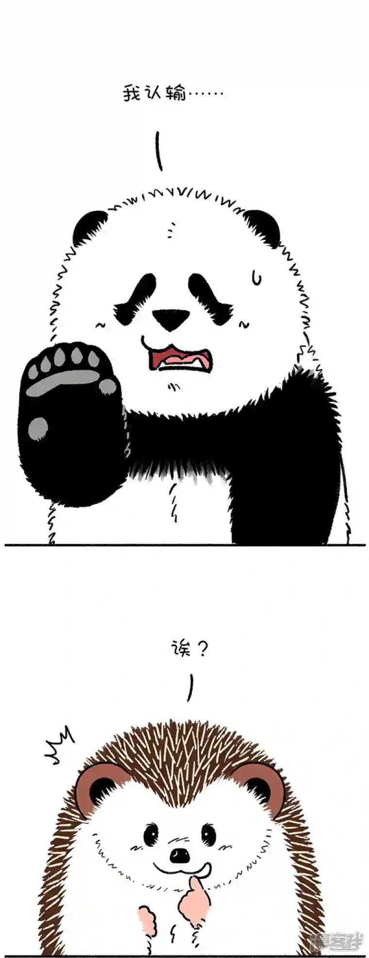 快把动物放进冰箱227你的核心竞争力的核心是什么？