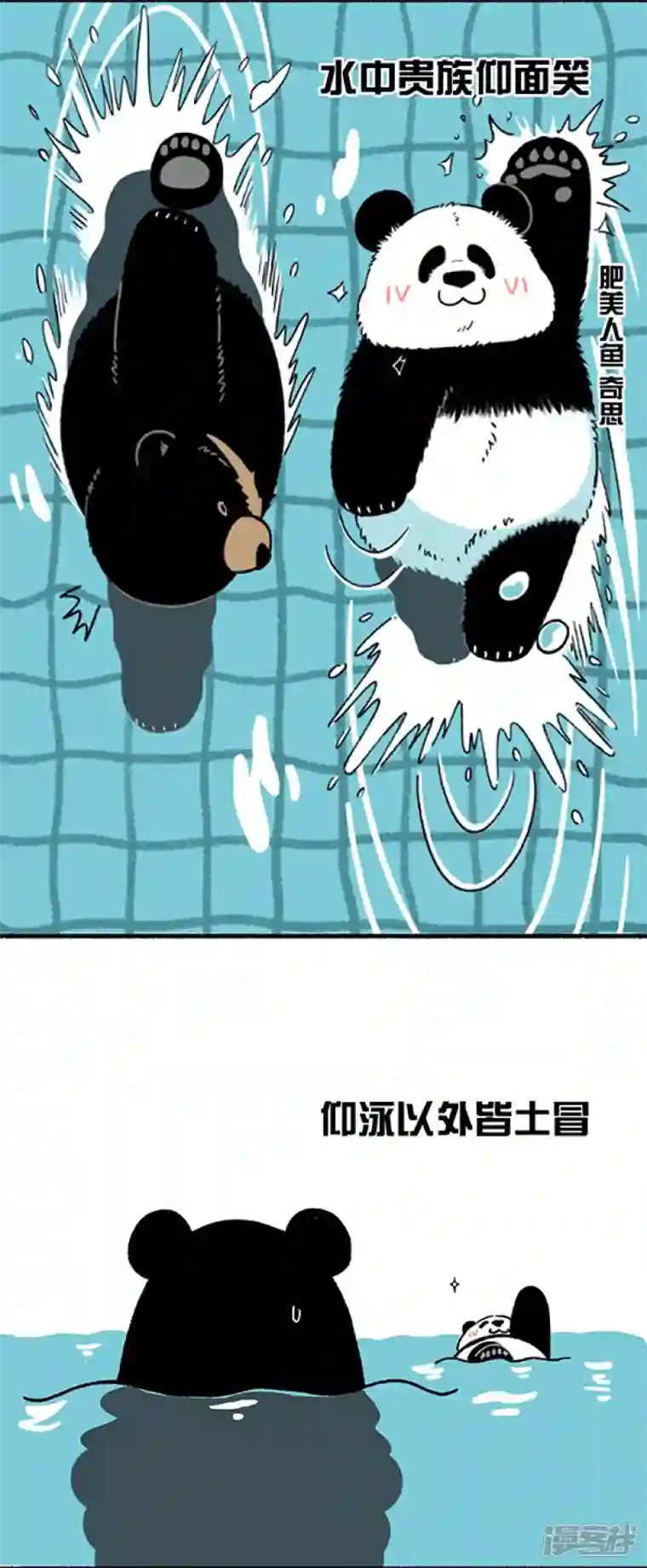 快把动物放进冰箱229这是一场盛夏的降维打击！