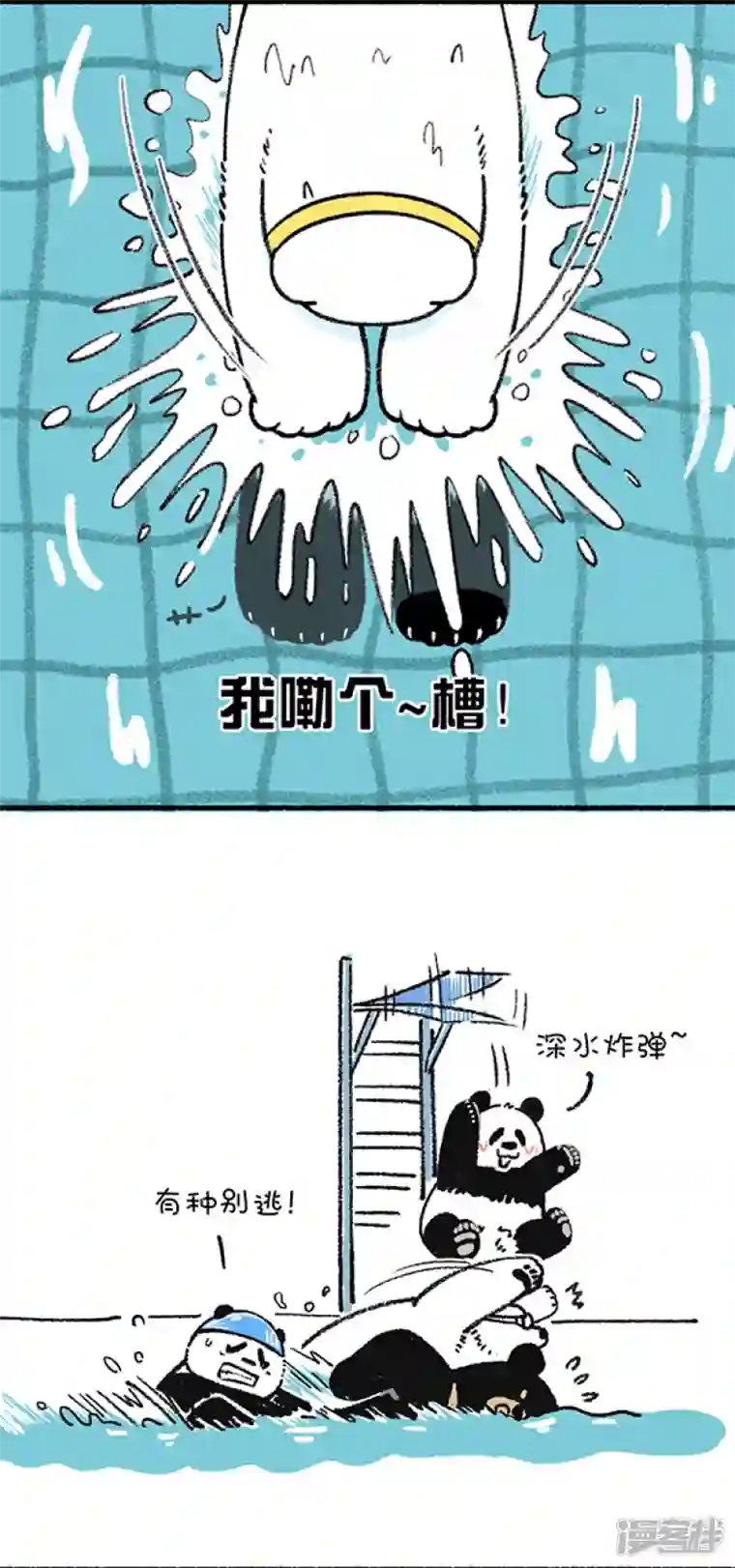 快把动物放进冰箱229这是一场盛夏的降维打击！