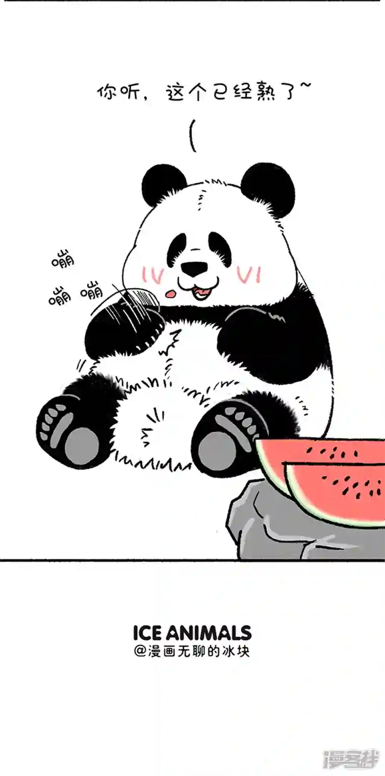 快把动物放进冰箱230好孩子不可以说谎