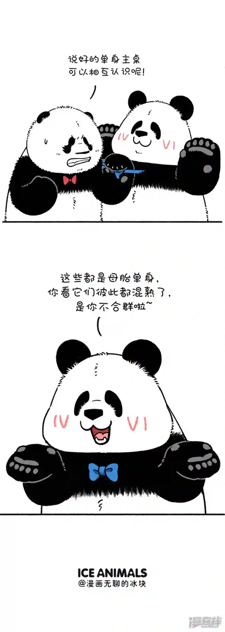 快把动物放进冰箱240别问假期有什么安排