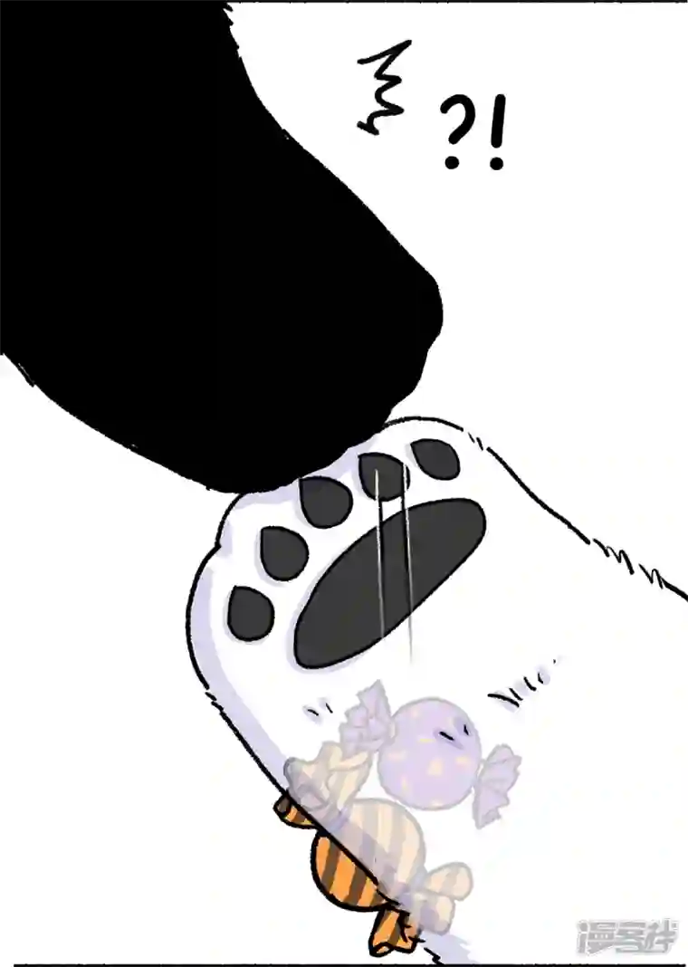 快把动物放进冰箱244底气十足心不空，啥节都吹中国风