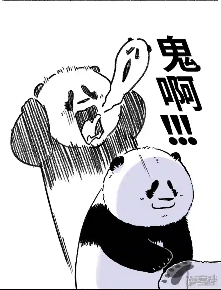 快把动物放进冰箱244底气十足心不空，啥节都吹中国风