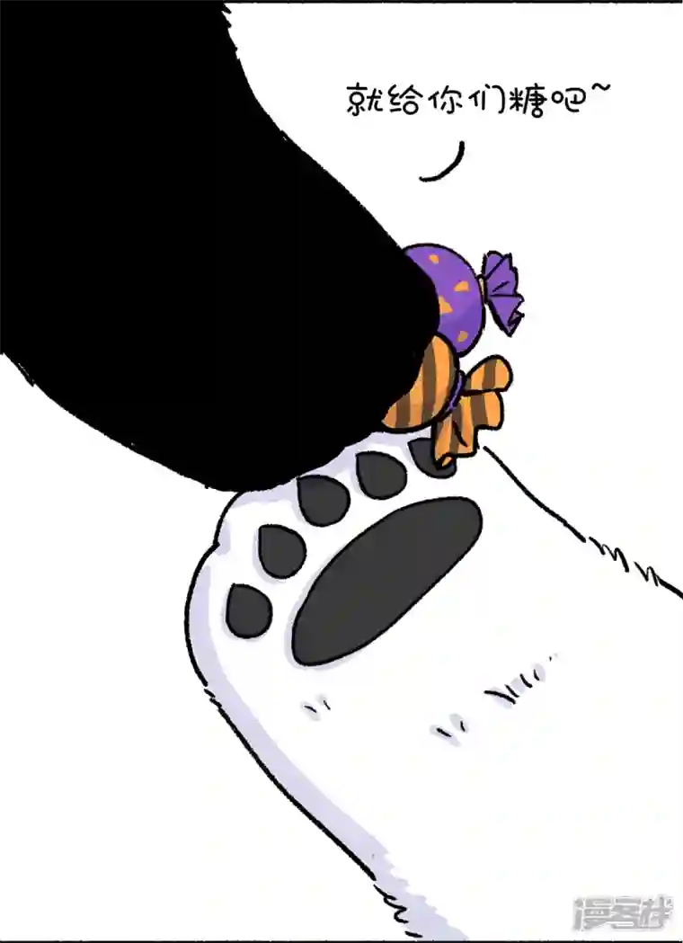 快把动物放进冰箱244底气十足心不空，啥节都吹中国风