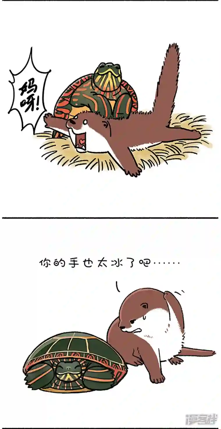 快把动物放进冰箱252就算我似冰寒，也想给你温暖~