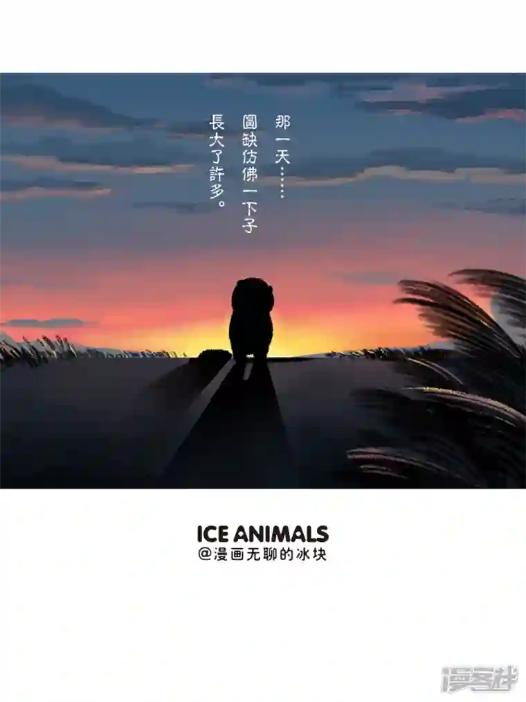 快把动物放进冰箱257成长的路上，缺不了前辈的提携~