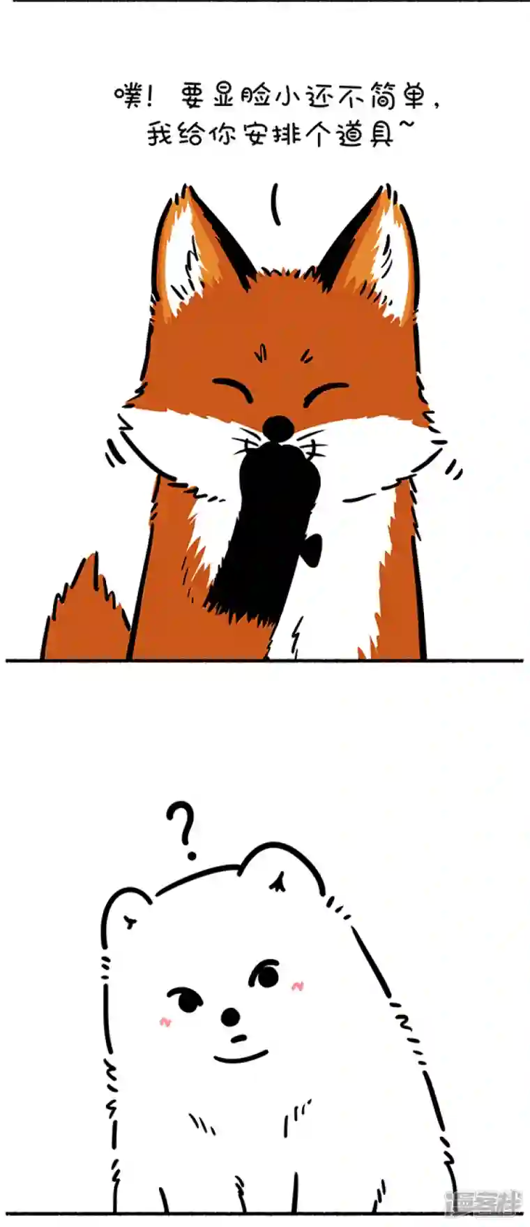 快把动物放进冰箱259照片这一拍，生活就很嗨~