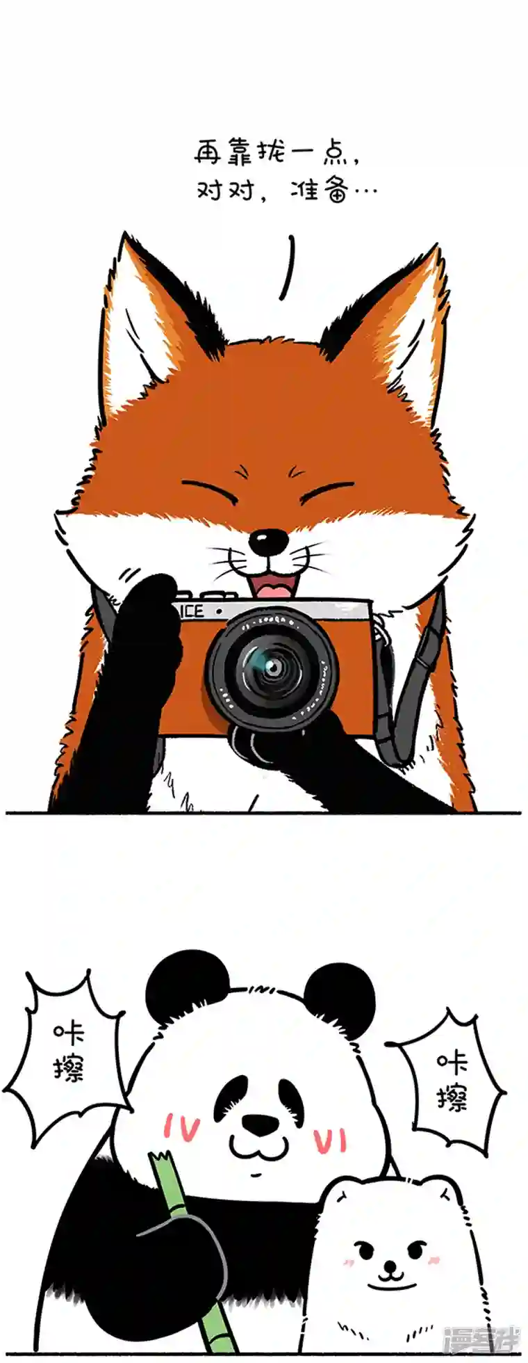 快把动物放进冰箱259照片这一拍，生活就很嗨~