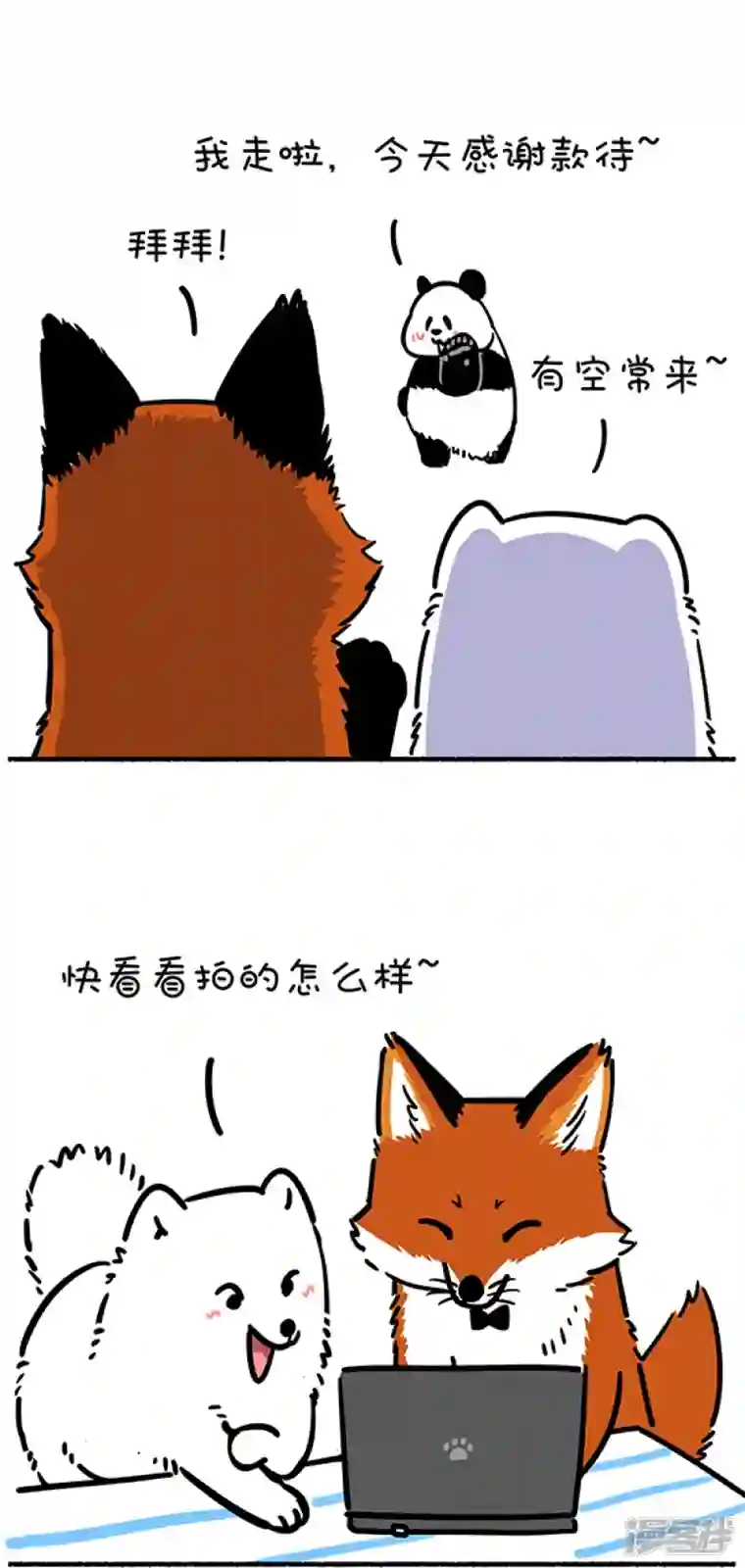 快把动物放进冰箱259照片这一拍，生活就很嗨~