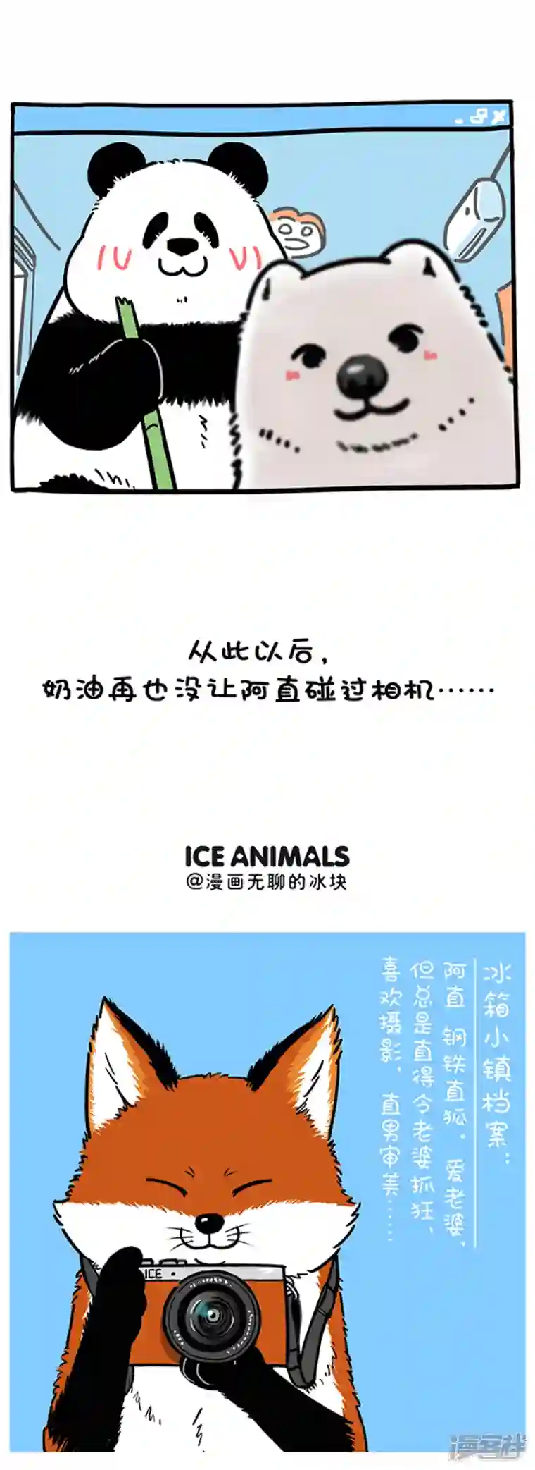 快把动物放进冰箱259照片这一拍，生活就很嗨~