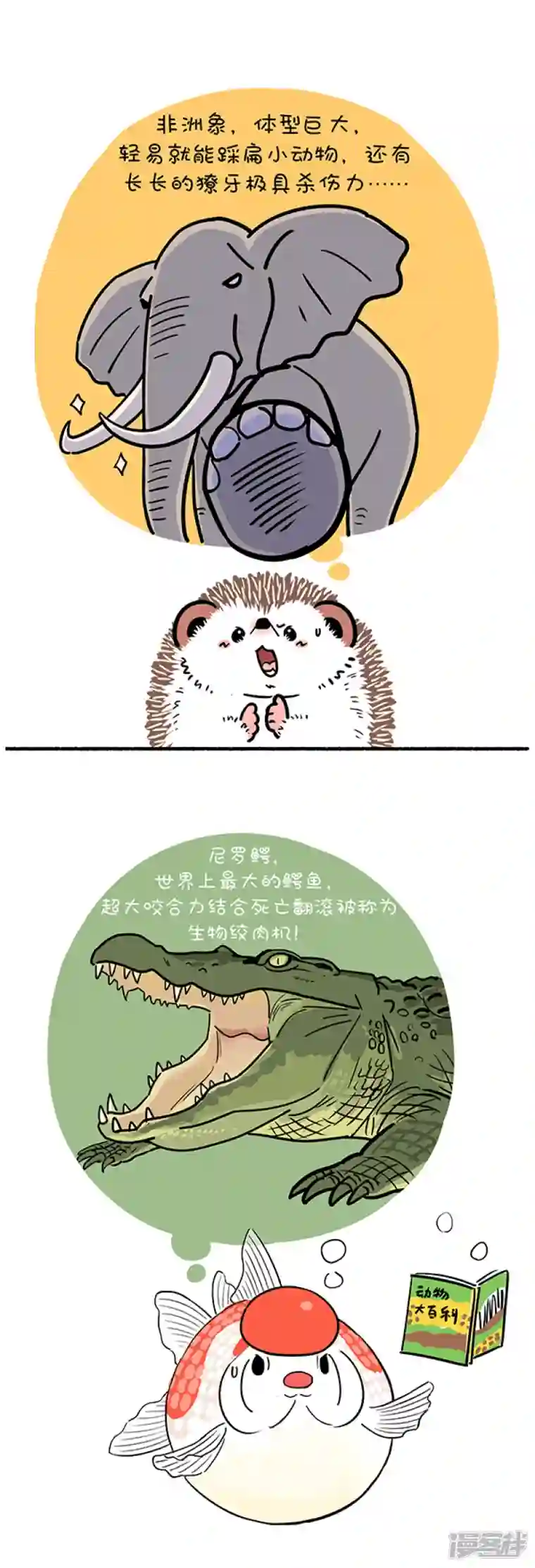 快把动物放进冰箱266世界上最致命的动物是什么？