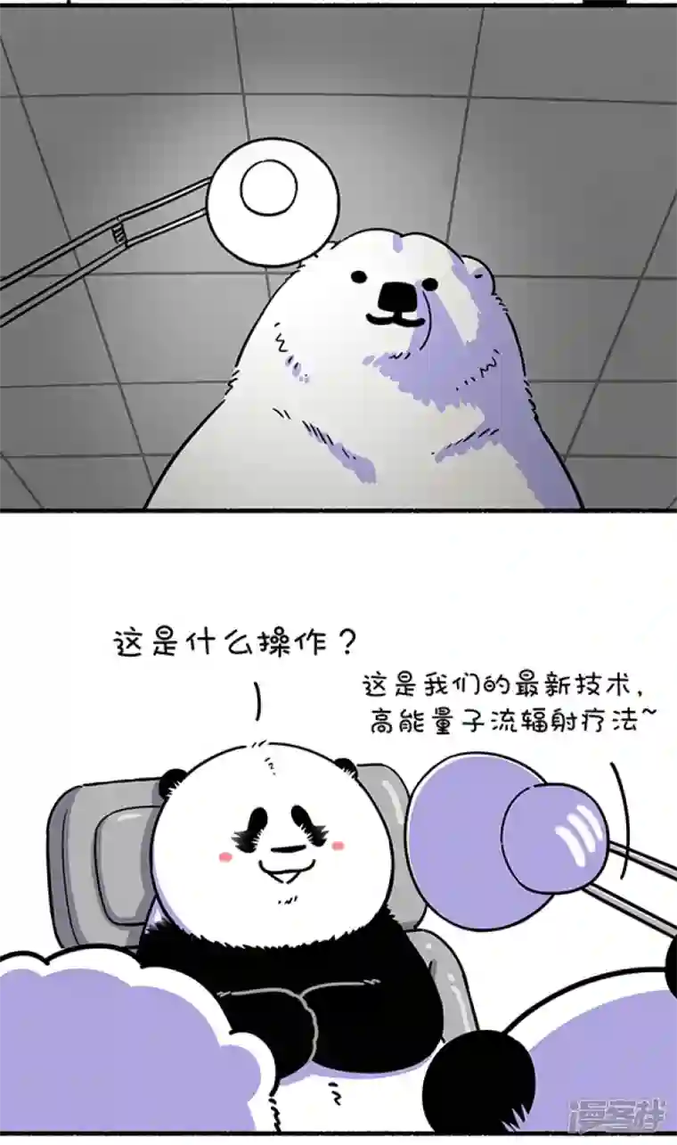 快把动物放进冰箱268黑夜给了我黑色的眼圈，白天我却去了医院