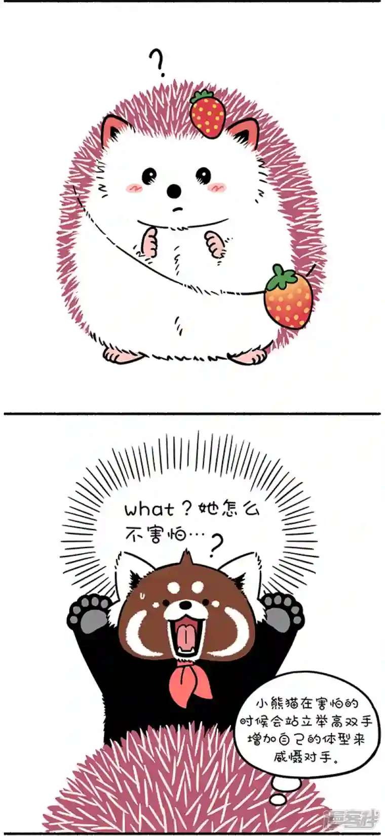 快把动物放进冰箱270只要脑子反应快，人间处处是真爱~