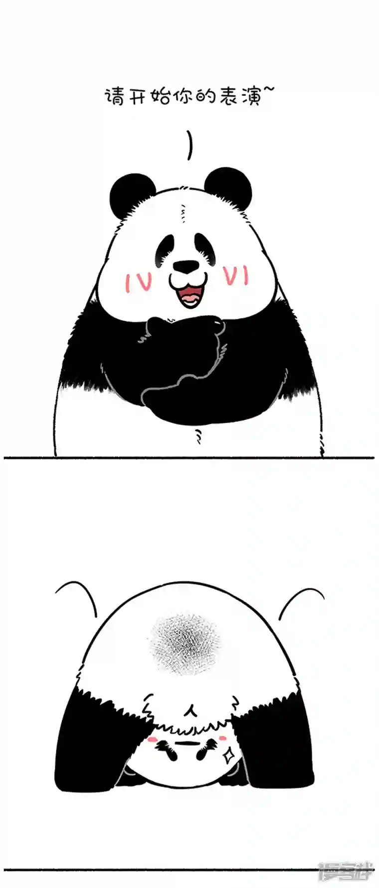 快把动物放进冰箱271《地球超级英熊从入门到精通》了解一下~