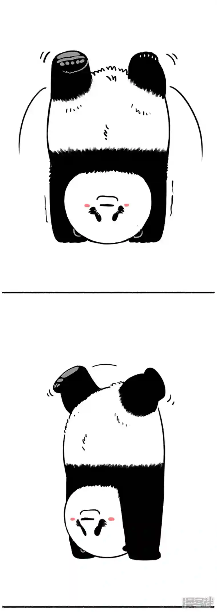 快把动物放进冰箱271《地球超级英熊从入门到精通》了解一下~