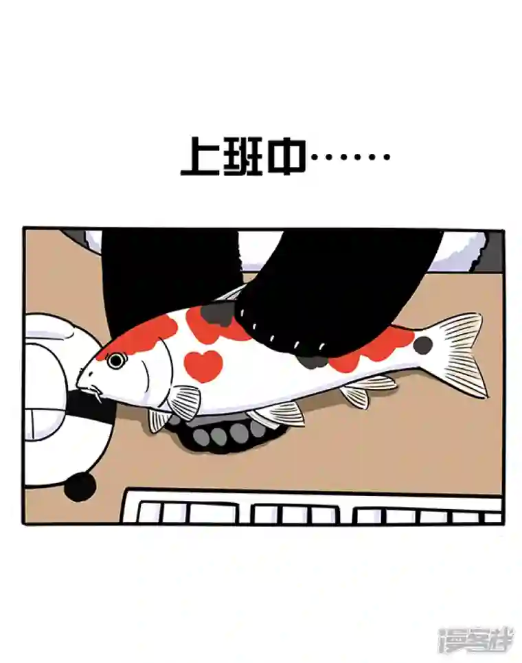 快把动物放进冰箱272读书日/如何以平和的心态度过五一小长假前的一周