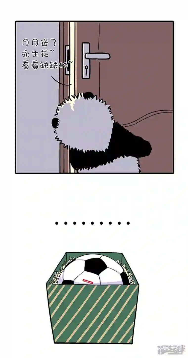 快把动物放进冰箱273麻麻的爱如大江大河，点滴回报就能永不干涸……