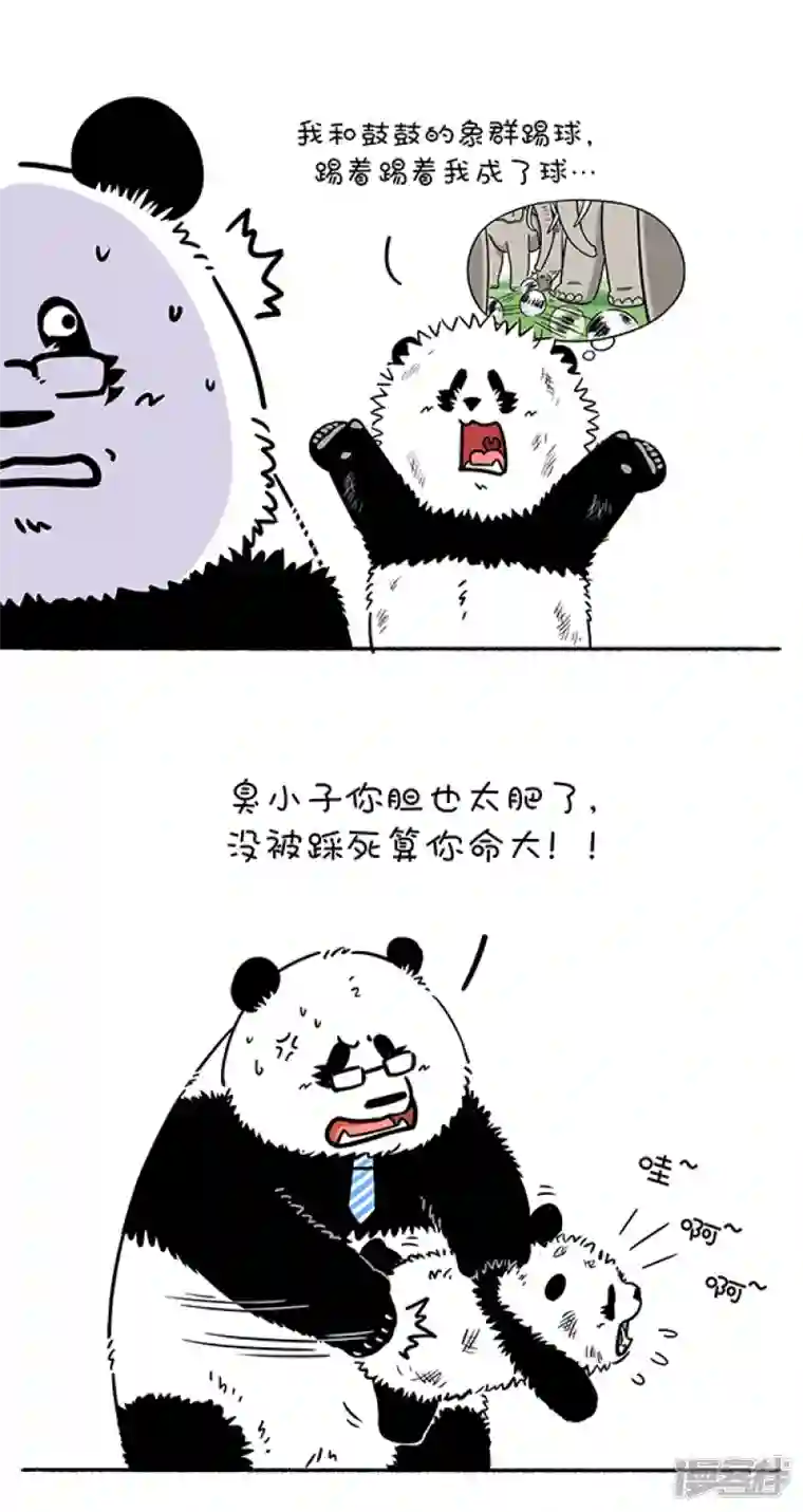 快把动物放进冰箱280父爱无形，却有迹可循~