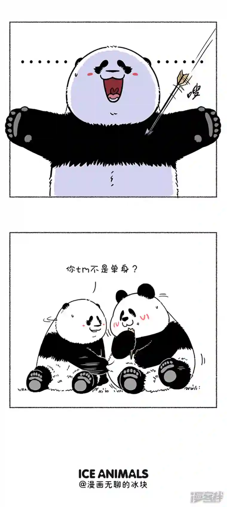 快把动物放进冰箱284热烈庆祝大熊猫成功降级，也祝贺奇思圆宝不忘初心~