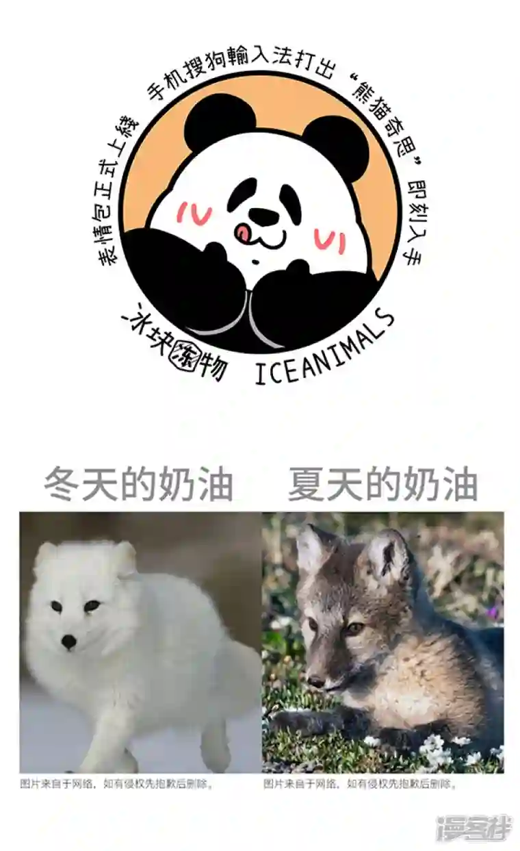 快把动物放进冰箱285正常来讲，笔直的路不太会出轨......