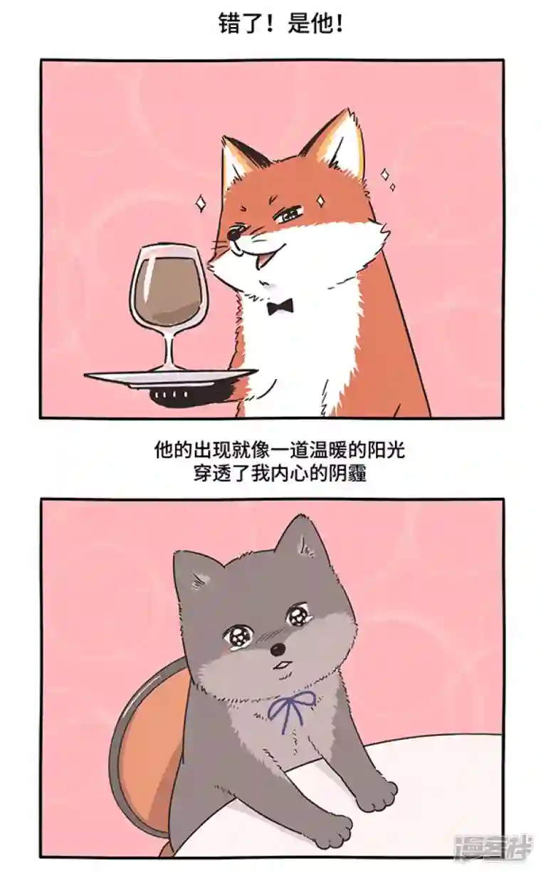 快把动物放进冰箱289人生若只如初见，一束强光挺晃眼~