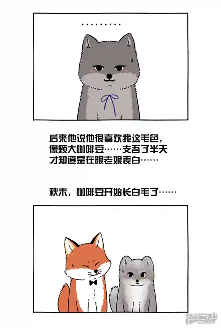 快把动物放进冰箱291七夕快到了，阿直老师好好给你们上一课，什么叫反向思维！