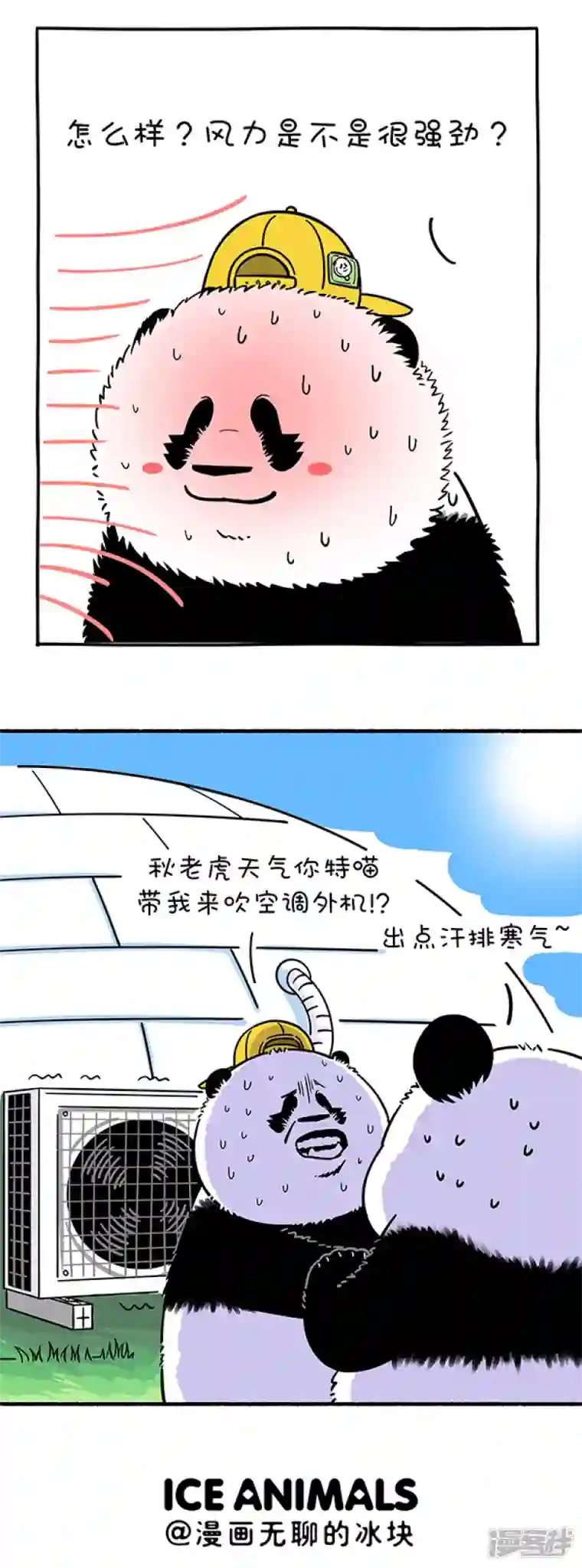 快把动物放进冰箱294拜托！我们可是国宝诶~什么空调我们吹不到？