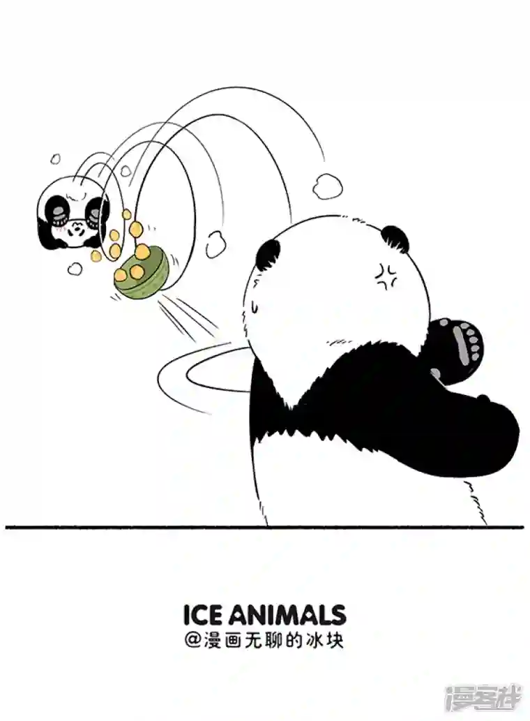 快把动物放进冰箱300遇上了有趣的熊，吃个水果都可以这么刺激~