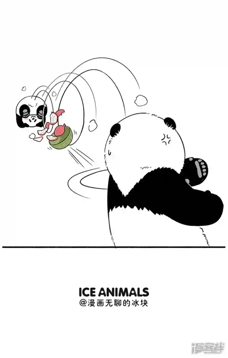 快把动物放进冰箱300遇上了有趣的熊，吃个水果都可以这么刺激~