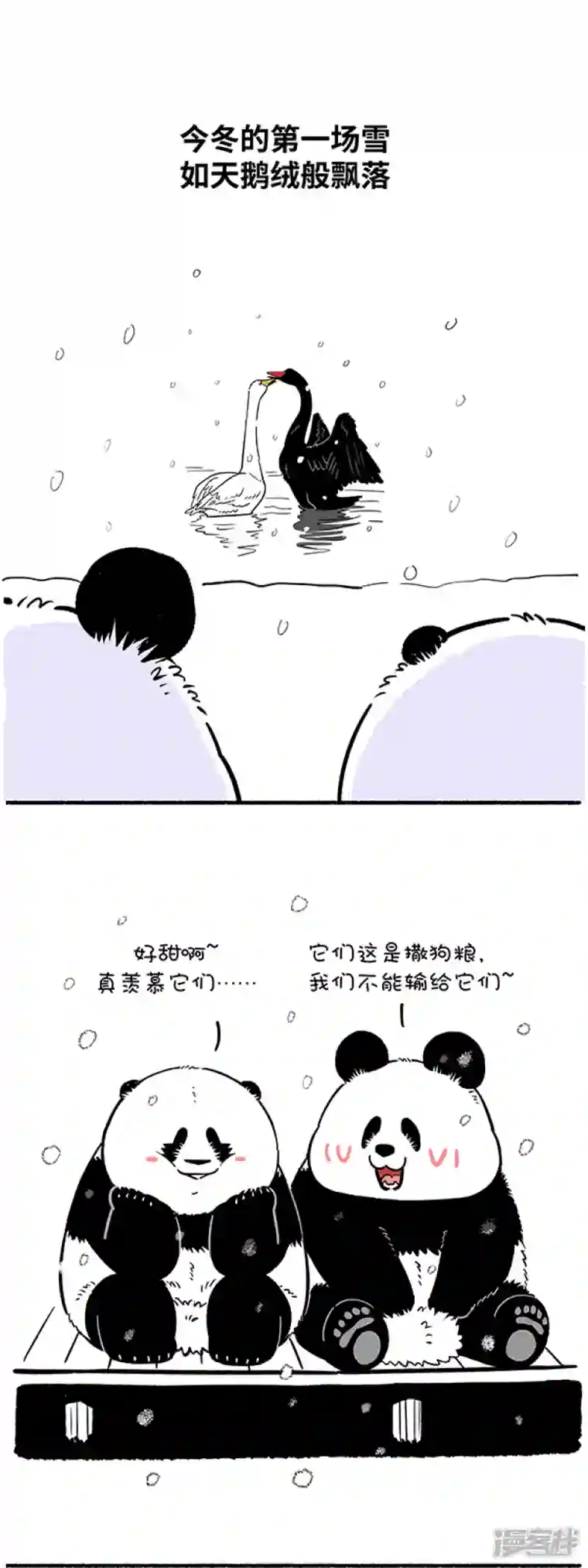 快把动物放进冰箱307只要我够甜，单身不可怜！