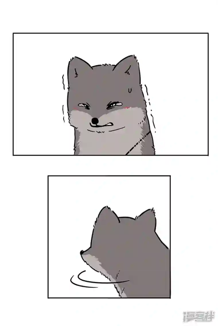 快把动物放进冰箱308真实的自己，就是最好的自己！